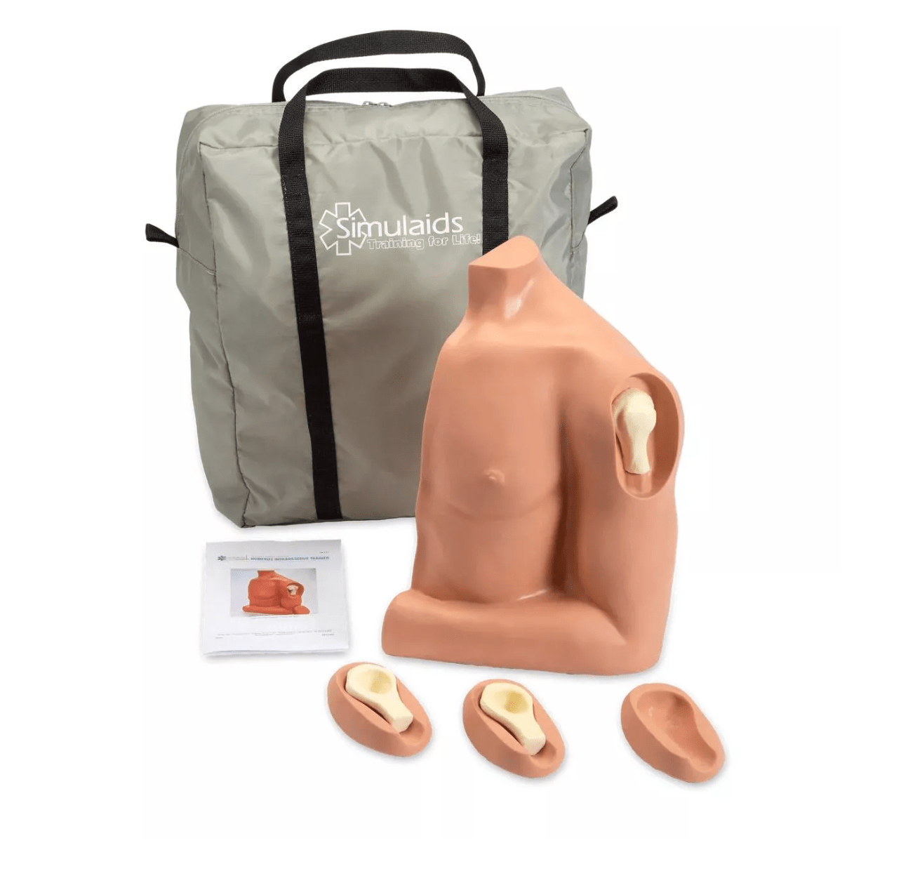 Intraossäre Übungsschulter Erwachsener - Erler - Zimmer